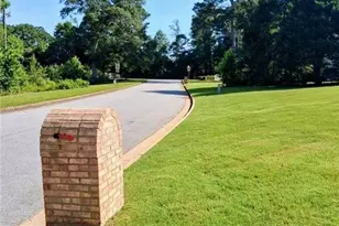 11524 Summer Trce, Hampton, GA 30228 - Photo 59