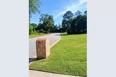 11524 Summer Trace, Hampton, GA 30228 - Photo 59