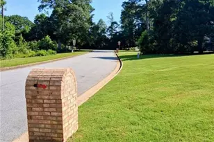 11524 Summer Trce, Hampton, GA 30228 - Photo 59