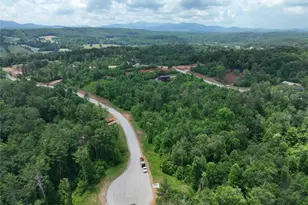 35 Blue Mountain Rd, Morganton, GA 30560 - Photo 19