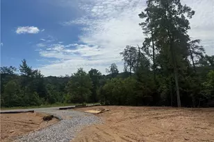 35 Blue Mountain Rd, Morganton, GA 30560 - Photo 5
