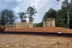 35 Blue Mountain Rd, Morganton, GA 30560 - Photo 3