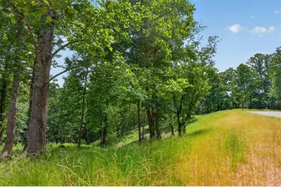 0 Conns Creek Road, Ball Ground, GA 30107 - Photo 17