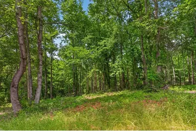 0 Conns Creek Road, Ball Ground, GA 30107 - Photo 29