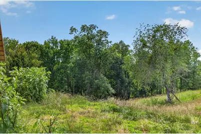 0 Conns Creek Road, Ball Ground, GA 30107 - Photo 37