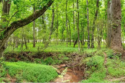 27 Otter Lane, Hoschton, GA 30548 - Photo 47