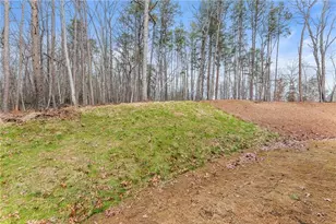 206 Shoals Way, Clarkesville, GA 30523 - Photo 39
