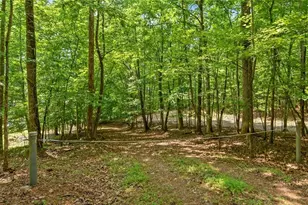 4273 Cherokee Trail, Gainesville, GA 30504 - Photo 11