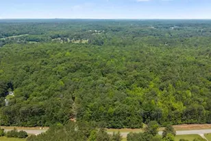 7448 Berea Rd, Winston, GA 30187 - Photo 81