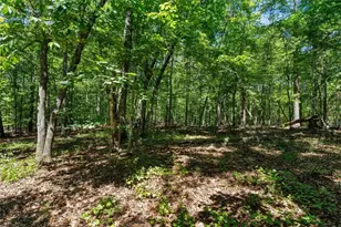 7448 Berea Rd, Winston, GA 30187 - Photo 69