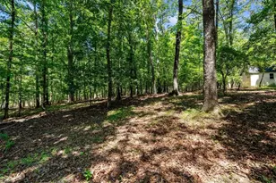 7448 Berea Rd, Winston, GA 30187 - Photo 65