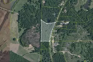 0 Pace Rd, Chattahoochee Hills, GA 30213 - Photo 1