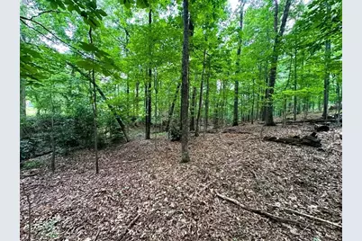 00 Thornwood Drive, Calhoun, GA 30701 - Photo 5
