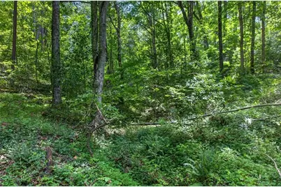 1965 Highway 52 E, Ellijay, GA 30536 - Photo 43