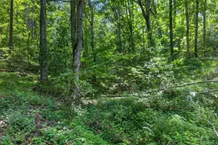1965 Hwy 52 E, Ellijay, GA 30536 - Photo 43