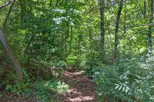1965 Hwy 52 E, Ellijay, GA 30536 - Photo 41