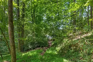 1965 Hwy 52 E, Ellijay, GA 30536 - Photo 45