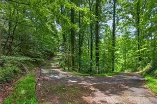 1965 Hwy 52 E, Ellijay, GA 30536 - Photo 49