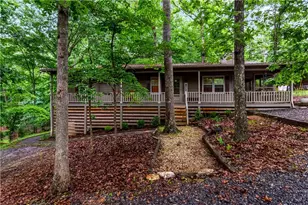 480 Pasha Dr, Ellijay, GA 30540 - Photo 47