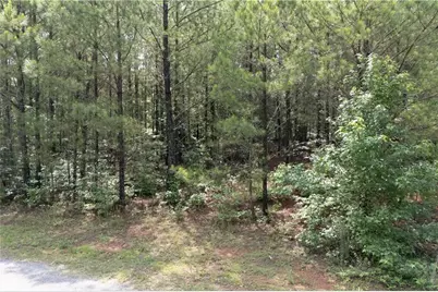 0 Ono Road, Palmetto, GA 30268 - Photo 5