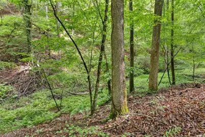 0 Long Branch Road, Dahlonega, GA 30533 - Photo 7