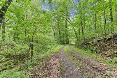0 Long Branch Road, Dahlonega, GA 30533 - Photo 5