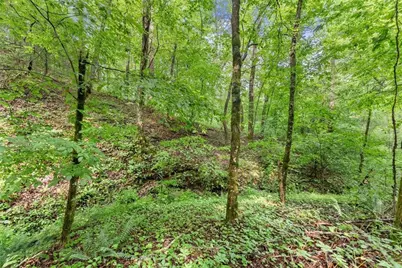 0 Long Branch Road, Dahlonega, GA 30533 - Photo 3