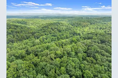 0 Long Branch Road, Dahlonega, GA 30533 - Photo 19