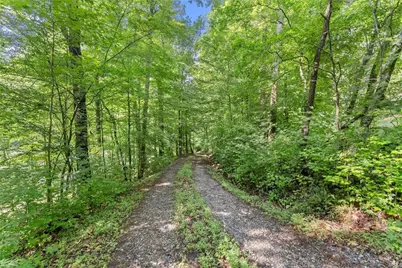 0 Long Branch Road, Dahlonega, GA 30533 - Photo 1