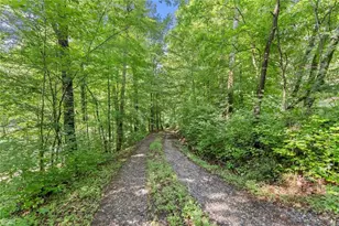 0 Long Branch Rd, Dahlonega, GA 30533 - Photo 1