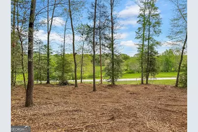 101 Broad River Road, Eastanollee, GA 30538 - Photo 1