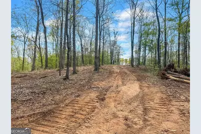 101 Broad River Road, Eastanollee, GA 30538 - Photo 9