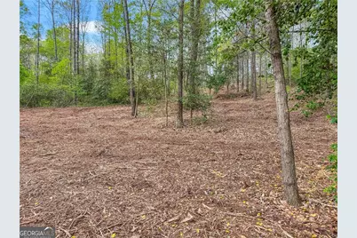 101 Broad River Road, Eastanollee, GA 30538 - Photo 3