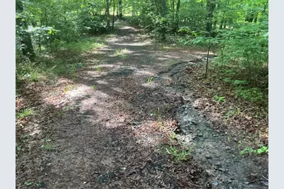 0 Mountain Brook Road, Dawsonville, GA 30534 - Photo 29