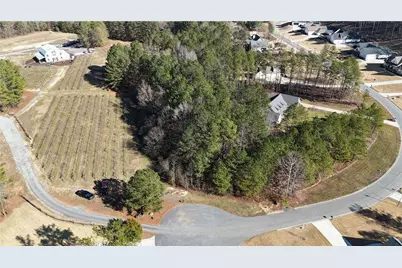 Lot 39 The Flower Farm, Acworth, GA 30101 - Photo 3