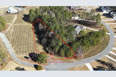 Lot 39 The Flower Farm, Acworth, GA 30101 - Photo 1