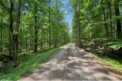 1319 Crumbley Road, McDonough, GA 30252 - Photo 65