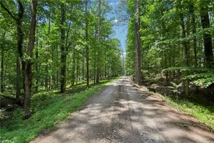 1319 Crumbley Rd, McDonough, GA 30252 - Photo 65