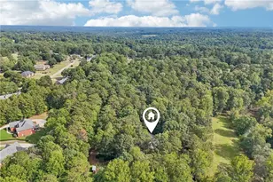 1319 Crumbley Rd, McDonough, GA 30252 - Photo 91