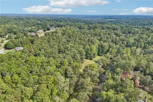 1319 Crumbley Rd, McDonough, GA 30252 - Photo 93