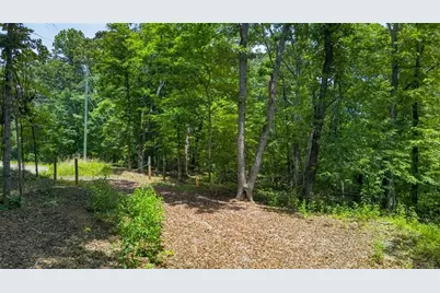 2022 Pleasant Union Road, Canton, GA 30114 - Photo 3