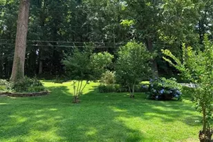 314 Spring St, Toccoa, GA 30577 - Photo 5