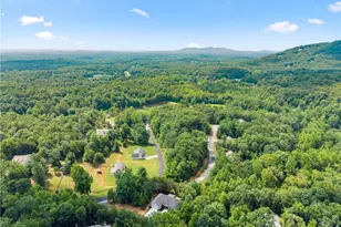 35 Chimney Ln, Cleveland, GA 30528 - Photo 53