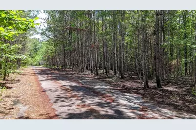 47 Lot, Rockmart, GA 30153 - Photo 3