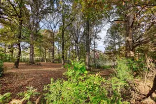 131 Upchurch Dr, McDonough, GA 30252 - Photo 63