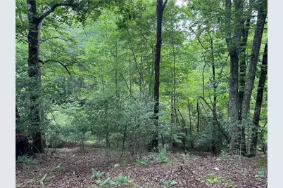 3.5 Ac Ben Higgins Road, Dahlonega, GA 30533 - Photo 11