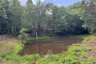 3 5 Ac Ben Higgins Rd, Dahlonega, GA 30533 - Photo 1