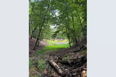 3.5 Ac Ben Higgins Road, Dahlonega, GA 30533 - Photo 13