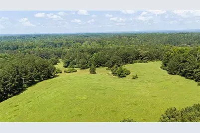 10180 Capps Ferry Road, Chattahoochee Hills, GA 30268 - Photo 67