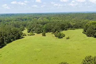 10180 Capps Ferry Rd, Chattahoochee Hills, GA 30268 - Photo 67